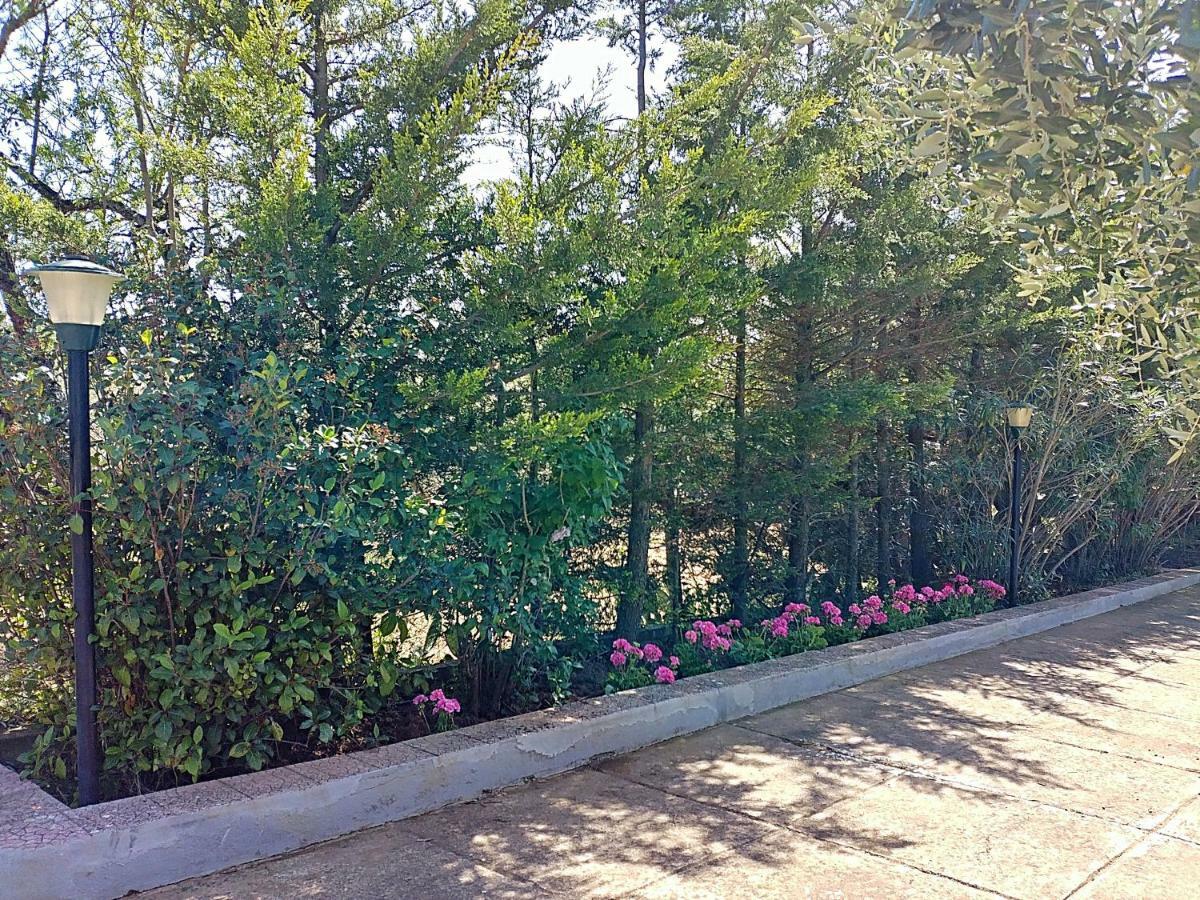 The Sunset Home Пиаца Армерина Екстериор снимка